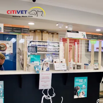 Citivet veterinary clinic—client of Point A Marketing’s Google Ads and graphic design services